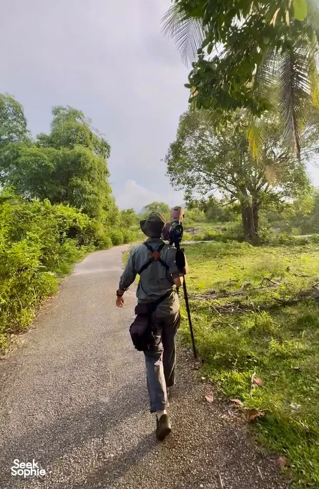 Birdwatcher hiking along a quiet country path through lush greenery in Langkawi, carrying a spotting scope and binoculars