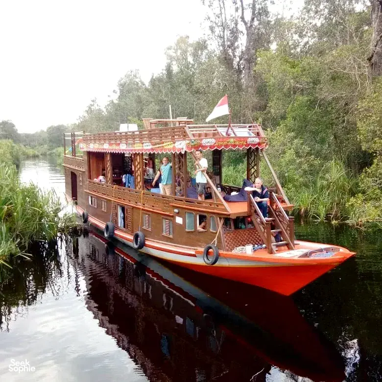 Seek Sophie option picture