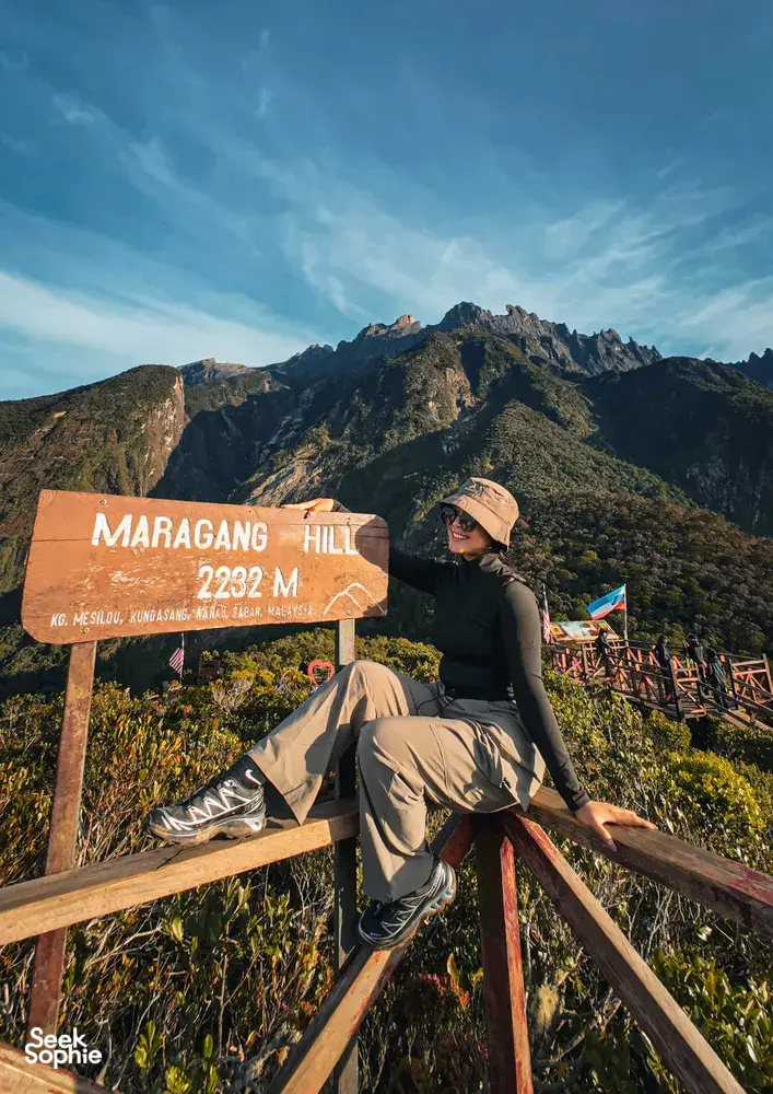 Seek Sophie option picture