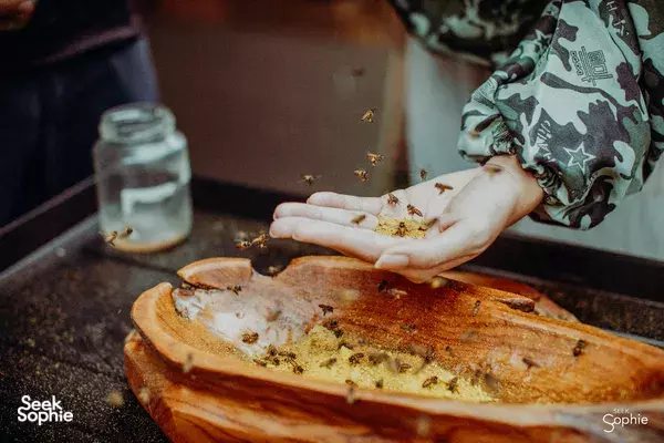 Mead Making at Tiny Bee Farm
