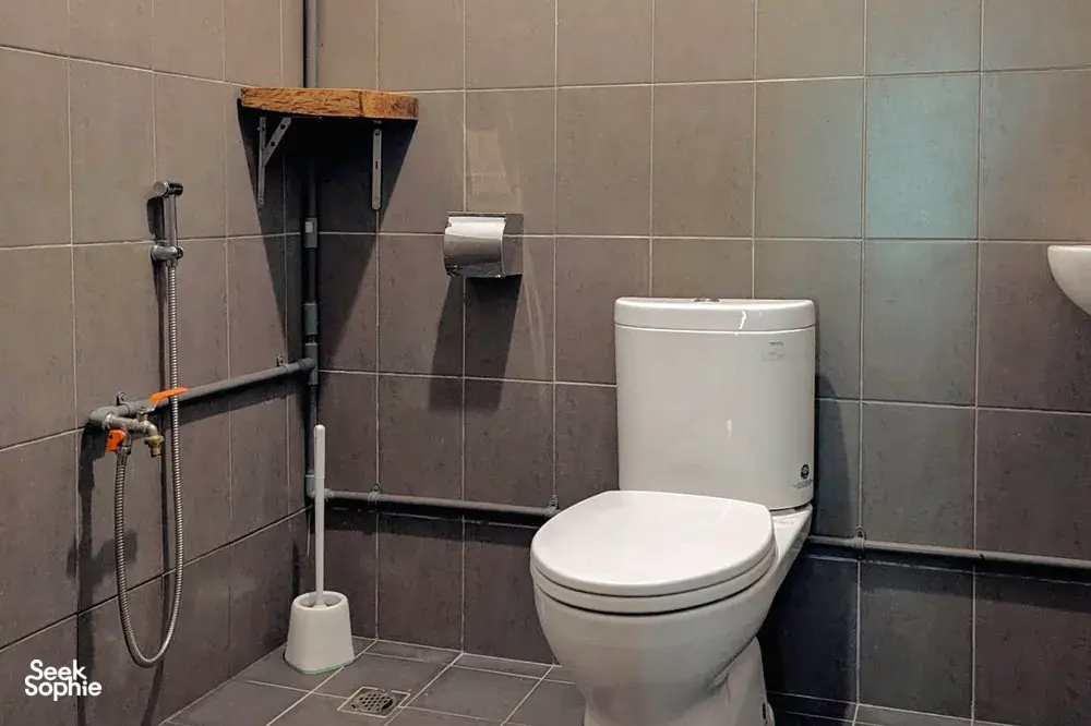 Seek Sophie option picture