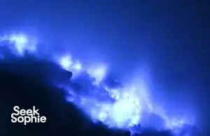 Seek Sophie option picture