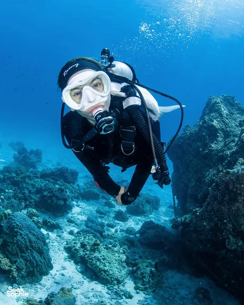 Seek Sophie option picture