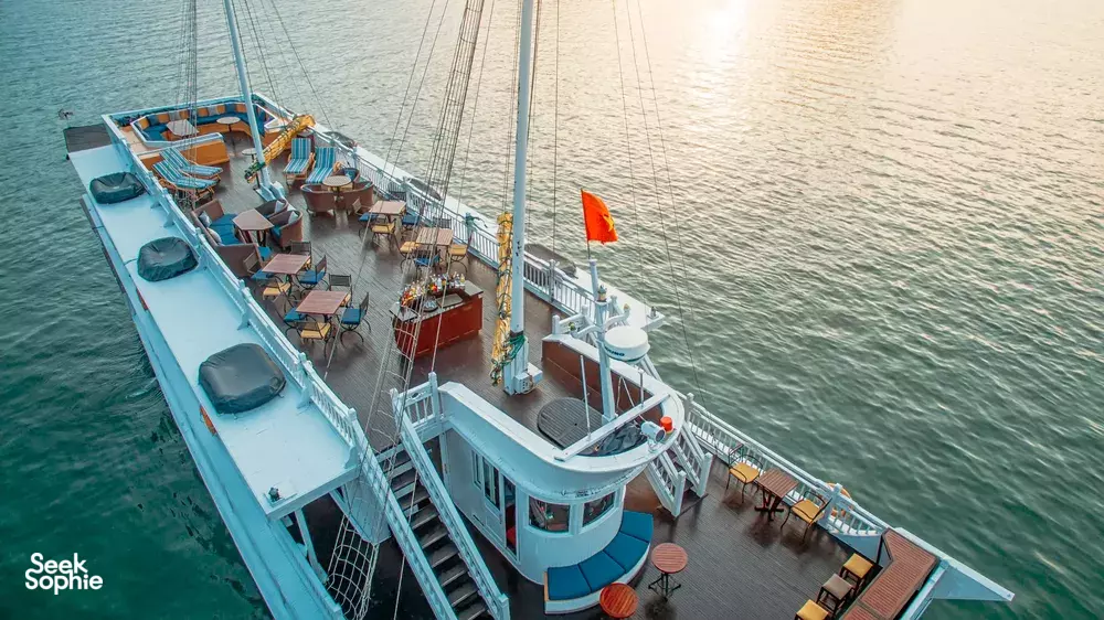 Seek Sophie option picture