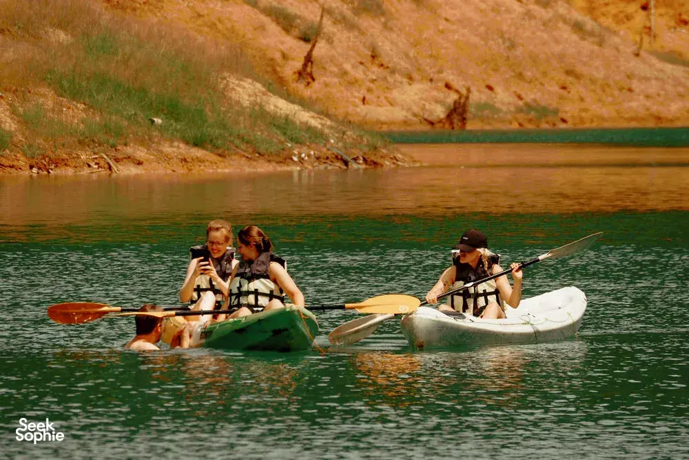 Seek Sophie option picture