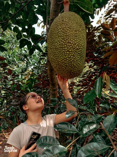 Full-Day Mekong Delta Trip | Meet Locals & Enjoy Freshly Made Food