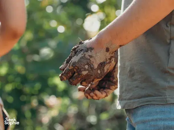 1日自然体验 | 泥屋建造、正念冥想与植物染布