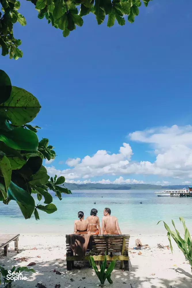 Seek Sophie option picture