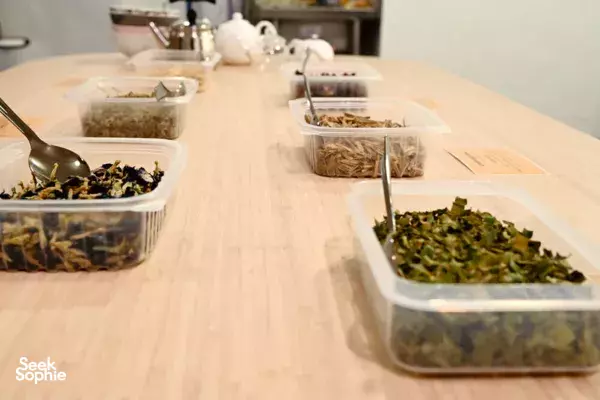 Herb trays and containers of leafy greens on a table during a garden-to-table workshop with The Freestyle Farmers—workshops in Singapore