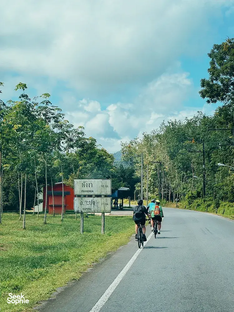 Cyclists pedal on a country road lined with trees and signboards, on a Half-Day Cycling & Rafting route in Khao Lak