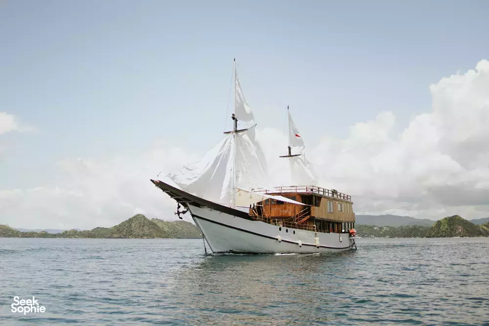 Seek Sophie option picture