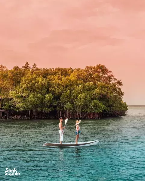 Stand-up paddleboarders gliding on a calm bay with mangroves along the shore at sunset, Plataran Bali Komodo, Labuan Bajo
