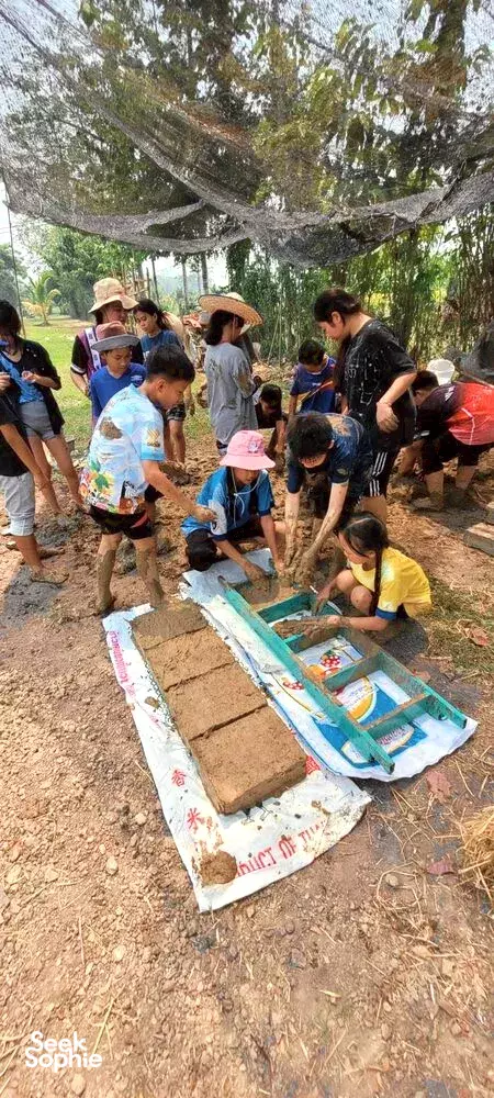 Seek Sophie option picture