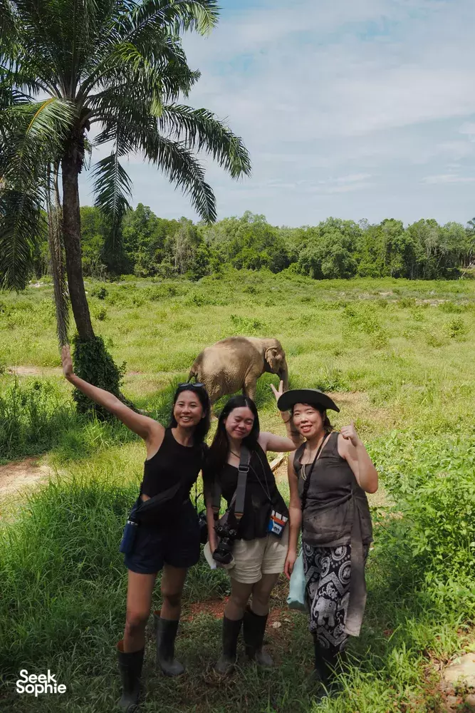 Seek Sophie option picture