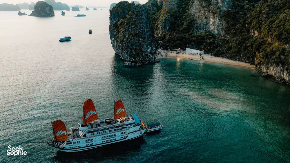 Seek Sophie option picture