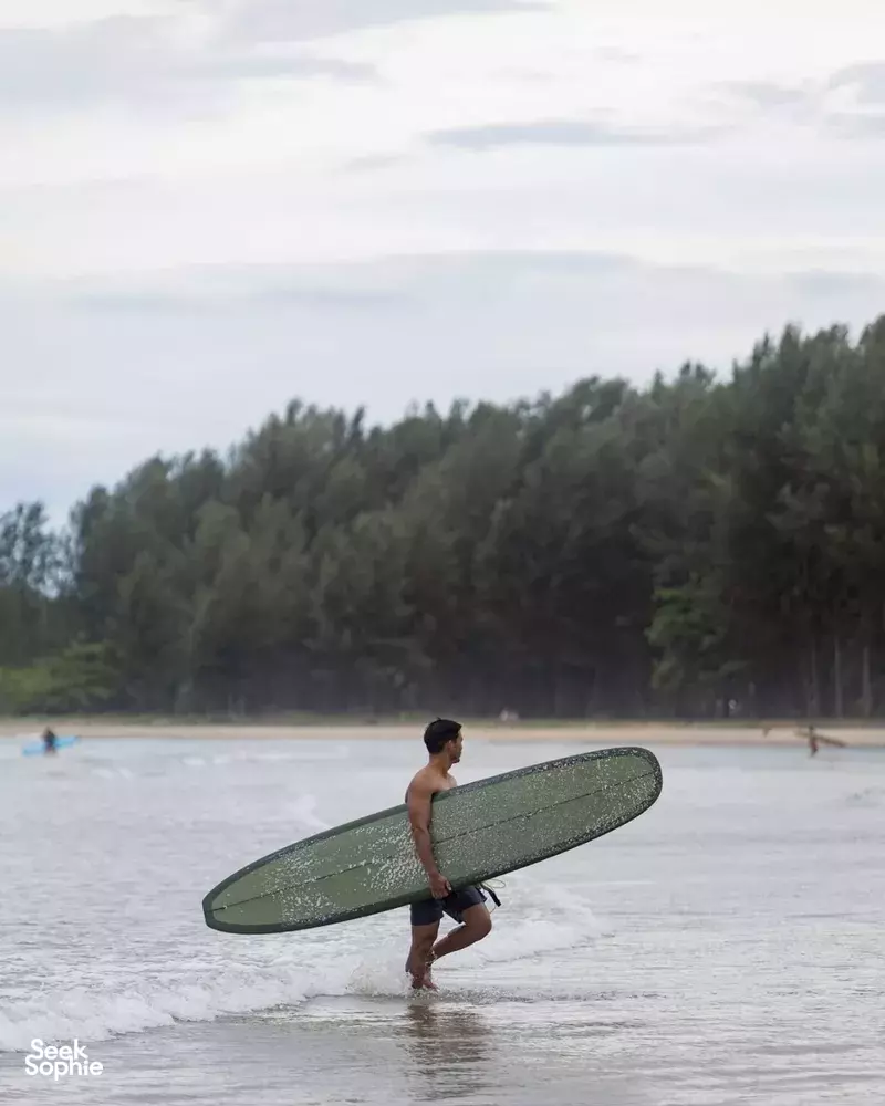 Seek Sophie option picture