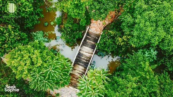 Aerial view of a wooden walkway crossing a canal through dense green vegetation at Bamboo Eco Village in the Mekong Delta