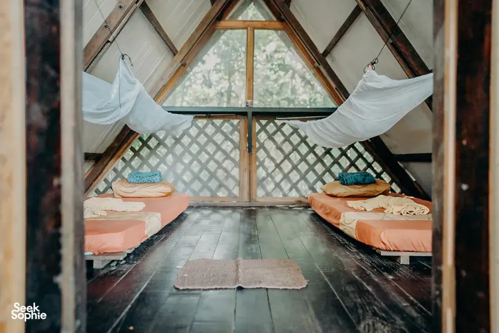 Seek Sophie option picture