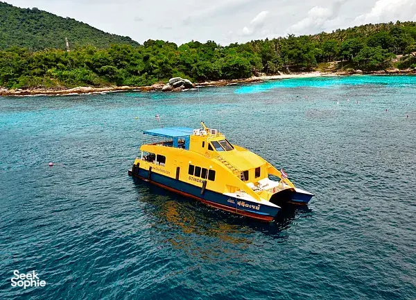2 Fun Dives at Richelieu Rock | Chance to see Whale sharks!