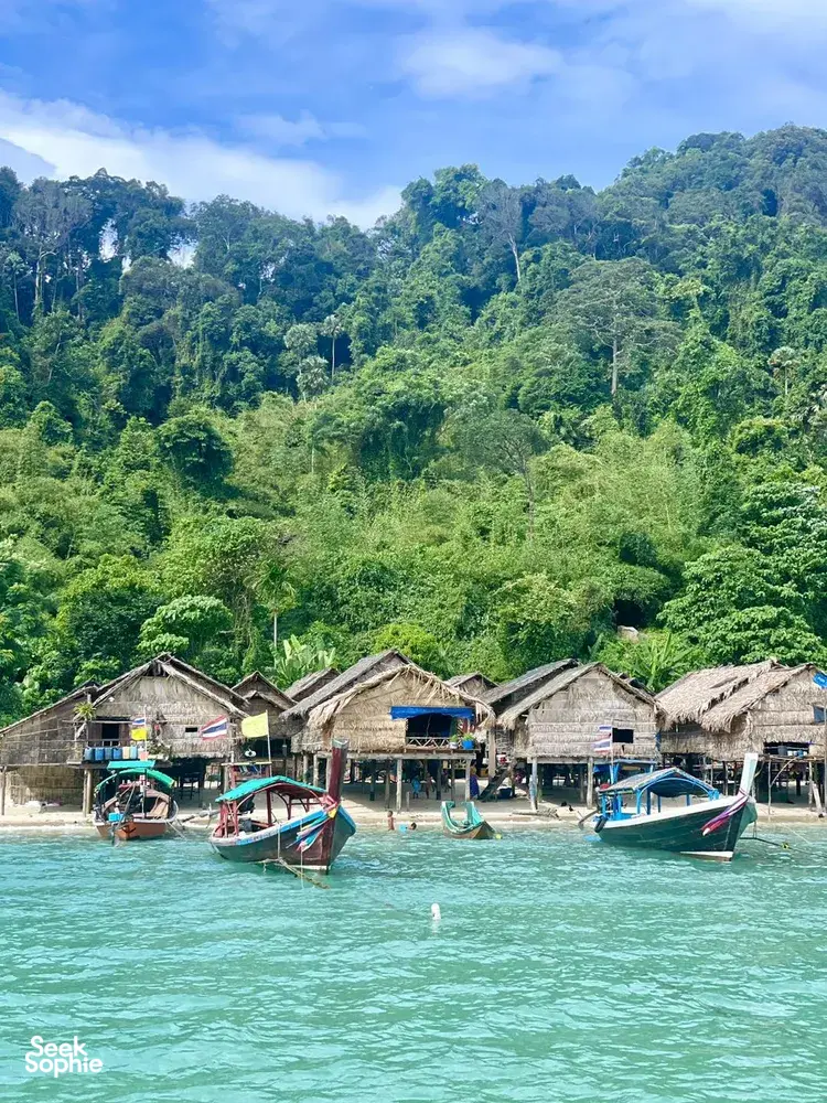 Seek Sophie option picture