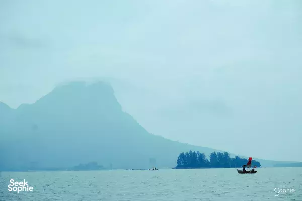 Full-Day Borneo Wildlife & Conservation | Dolphins + Turtle Rescue