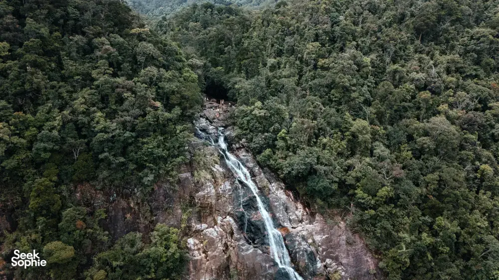 Seek Sophie option picture