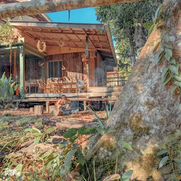 2D1N Rainforest Retreat: Waterfalls, Bidayuh Village & Night Walk