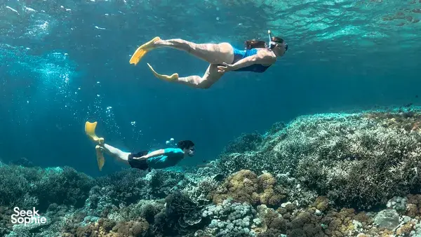 Private Gili Kondo Snorkelling Trip: Mangrove Wonders, Crystal-Clear Waters & Serene Escapes!