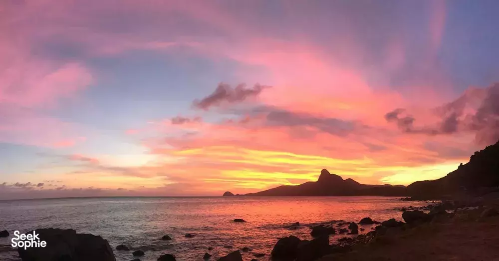 Seek Sophie option picture