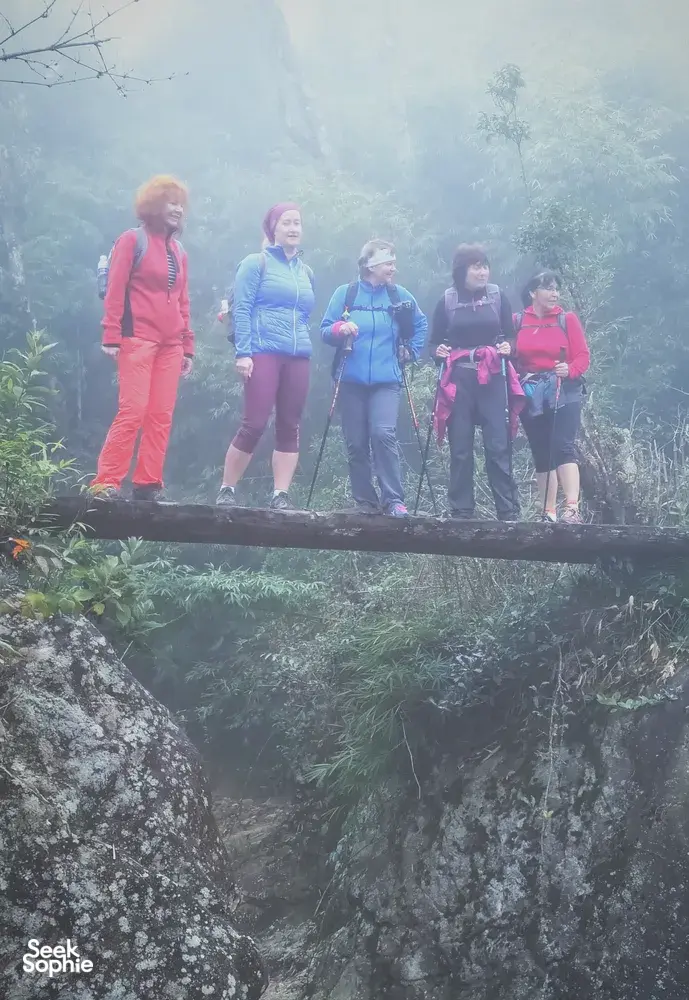 Seek Sophie option picture