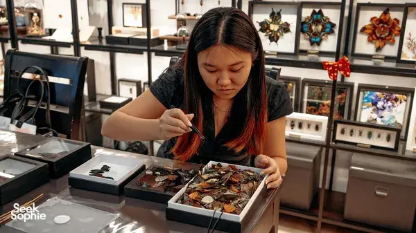 Transform Butterfly Wings into a Stunning Mandala Artwork