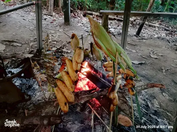 Skewered bananas cooking over an open fire, flames glowing in the jungle with Outreach Borneo during their survival skills lunch