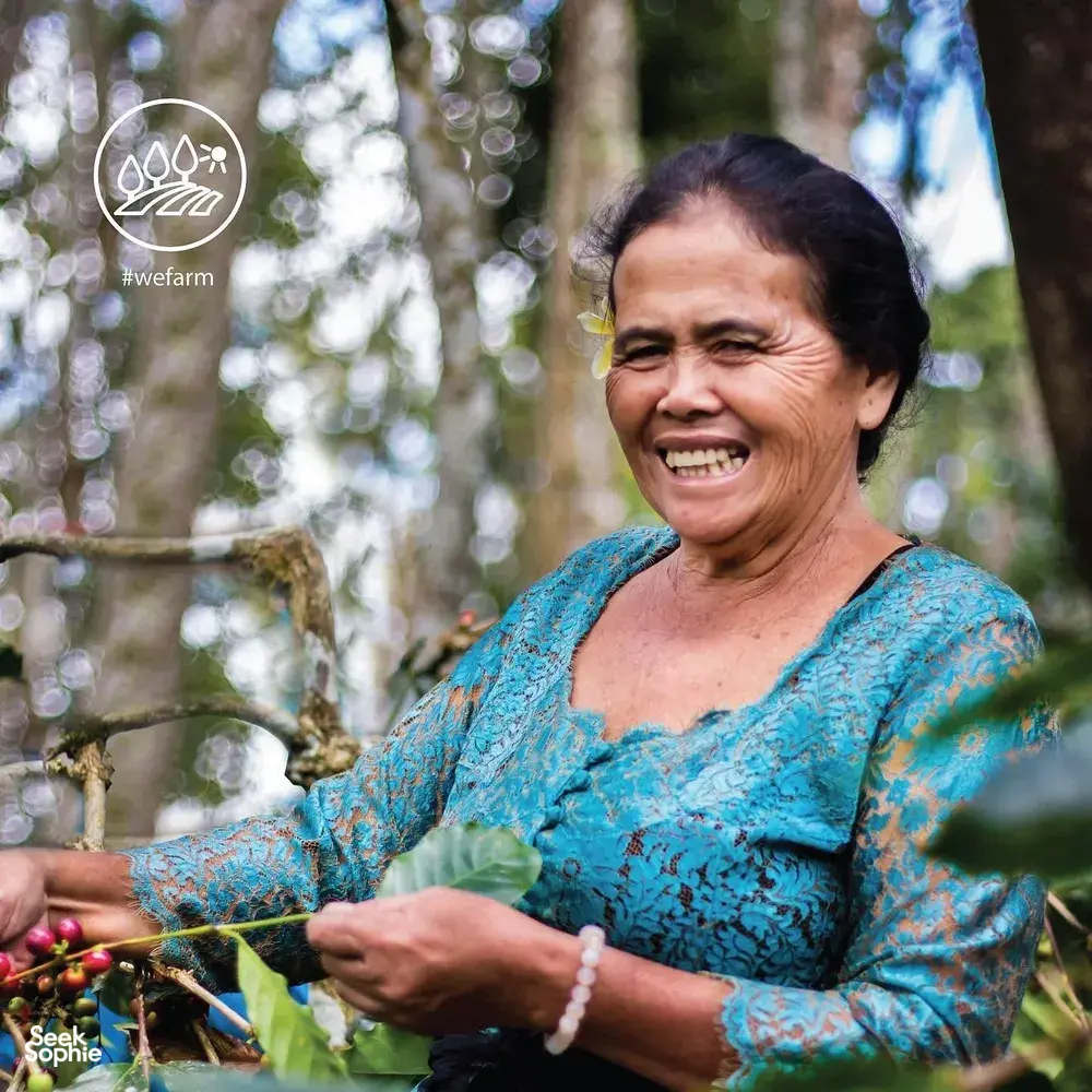 Smiling woman in blue holds harvested coffee cherries on a branch during a farm visit at Bali Beans, Kintamani, Bali.