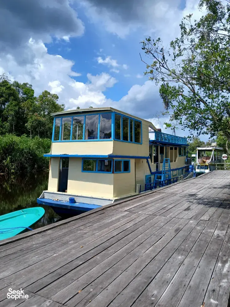 Seek Sophie option picture