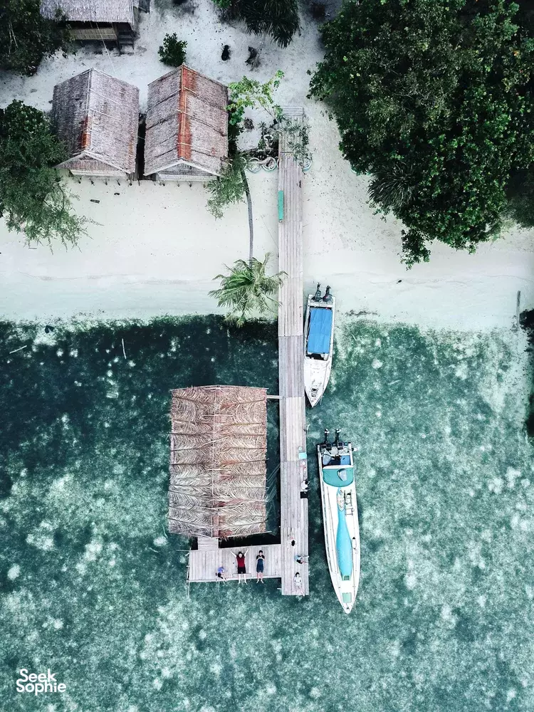 Seek Sophie option picture