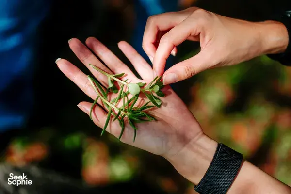 [SOLD OUT] A Walk Through Singapore’s Wildest Garden