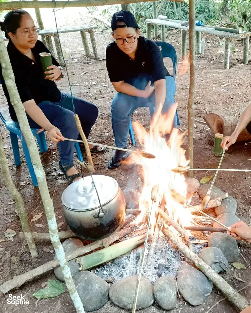 Seek Sophie option picture