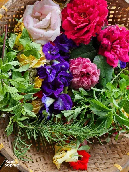 Discover the Healing Magic of Plants with Seasoned Herbalist