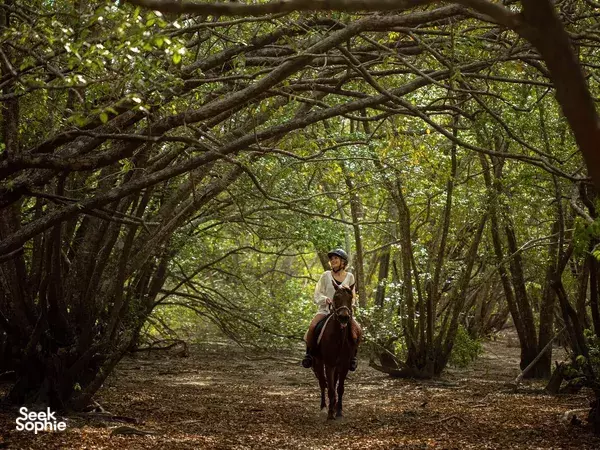 Walker on horseback moving along a narrow track beneath arching trees in the jungle at Plataran Bali Komodo, Labuan Bajo