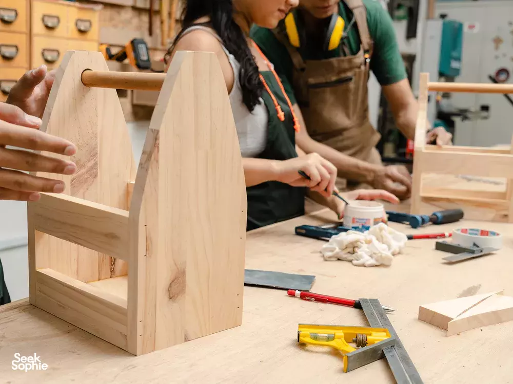 Seek Sophie option picture