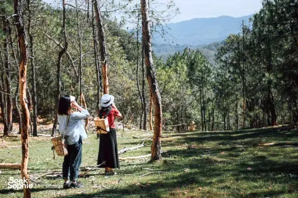 Guests taking a tranquil walk among tall trees at Linden Centre’s eco retreat in Dali, rural Yunnan, with mountains beyond