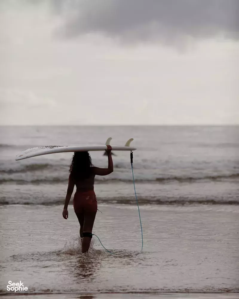 Seek Sophie option picture