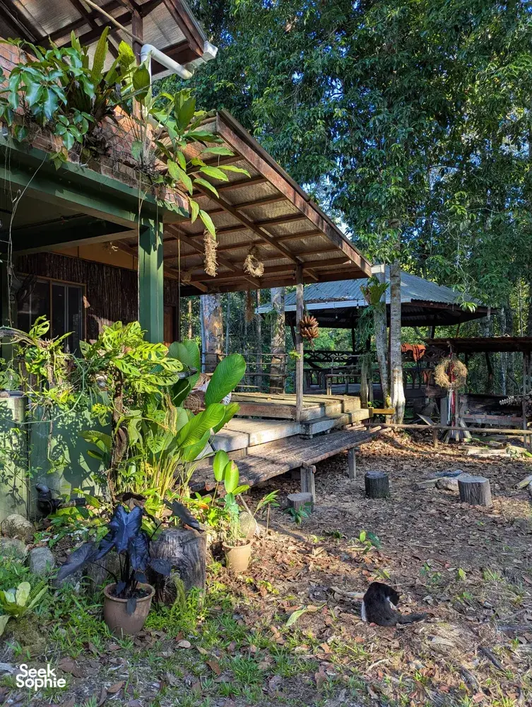 Raised wooden cabins and a veranda at Ngapuh Homestead, with garden beds in Kuchingβs regenerative rainforest