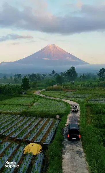 Pengalaman Gunung Semeru