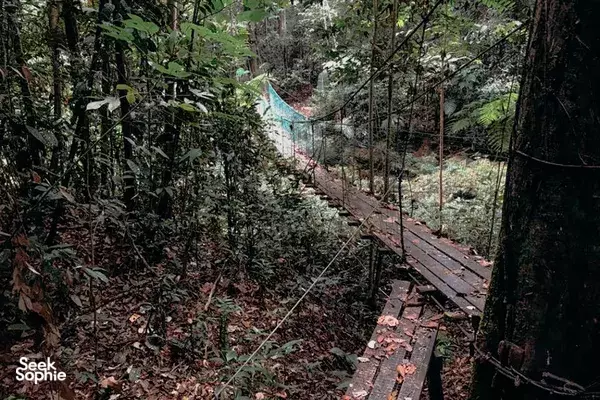 Trek Maliau Basin 5H4M | Menyelusuri Lost World Sabah