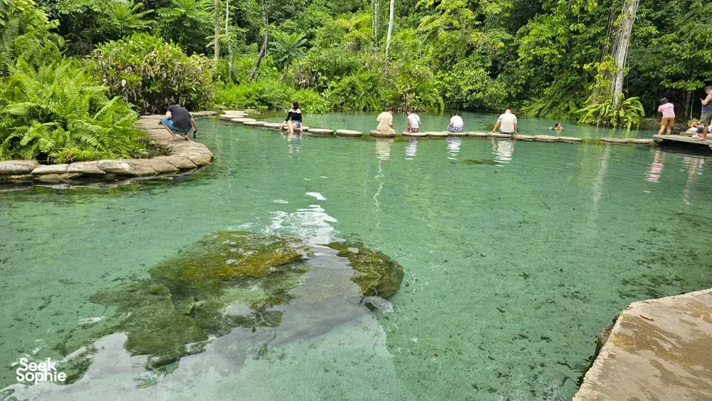 Swimmers wade in clear turquoise Blue Spring water with a log platform during a private swim in Khao Sok National Park
