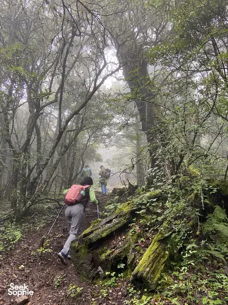 导游带领的一天徒步登山，登上翡翠龙山的第一峰｜避开人群