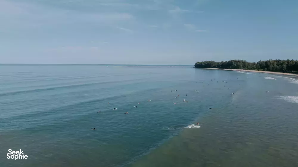 Seek Sophie option picture