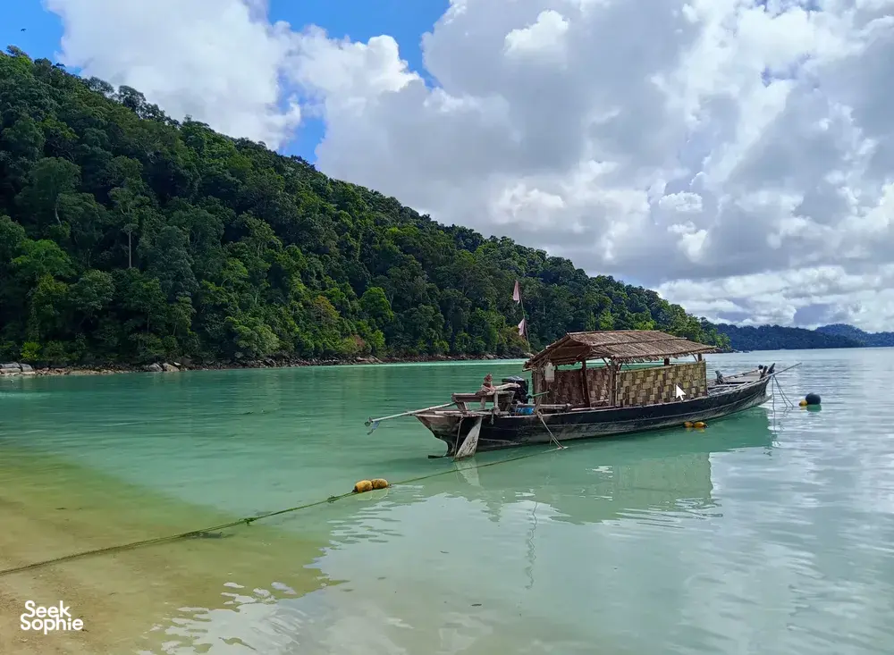 Seek Sophie option picture