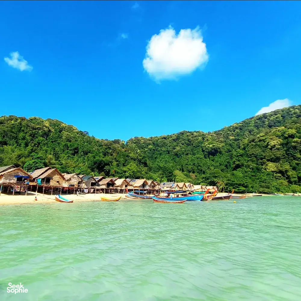 Seek Sophie option picture